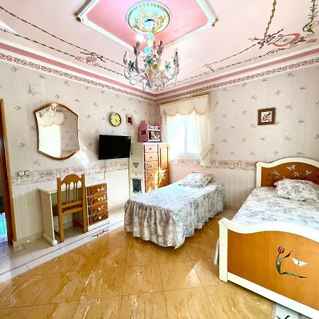 Villa Del Arte